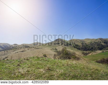 Green Grass On The Yellow Spring Alpine Meadows Of The Gumbashi Pass. Mountainous, Hilly Summer Land