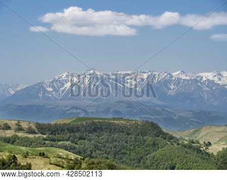 Green Grass On The Yellow Spring Alpine Meadows Of The Gumbashi Pass. Snow Covered Huge Mountain Elb