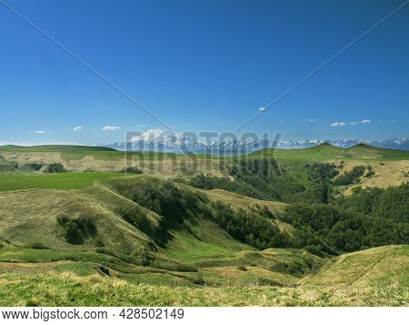 Green Grass On The Yellow Spring Alpine Meadows Of The Gumbashi Pass. Snow Covered Huge Mountain Elb