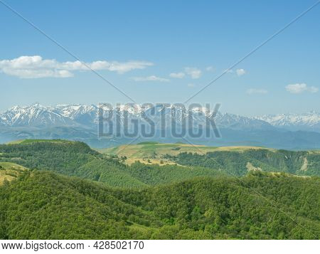 Green Grass On The Yellow Spring Alpine Meadows Of The Gumbashi Pass. Snow Covered Huge Mountain Elb