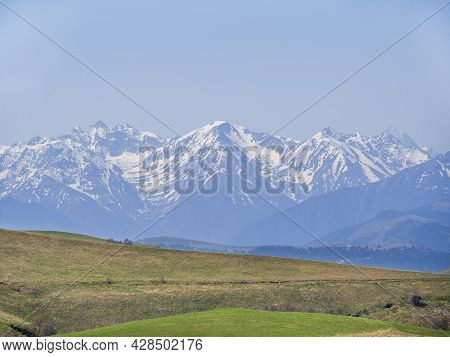 Green Grass On The Yellow Spring Alpine Meadows Of The Gumbashi Pass. Snow Covered Huge Mountain Elb