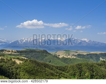 Green Grass On The Yellow Spring Alpine Meadows Of The Gumbashi Pass. Snow Covered Huge Mountain Elb