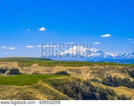 Green Grass On The Yellow Spring Alpine Meadows Of The Gumbashi Pass. Snow Covered Huge Mountain Elb