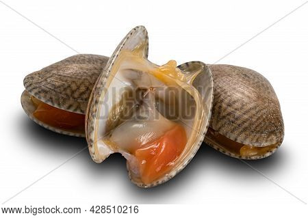 Closeup View Of Opened And Closed Clams, Carpet Clams, Short Neck Clams, Baby Clams On White Backgro
