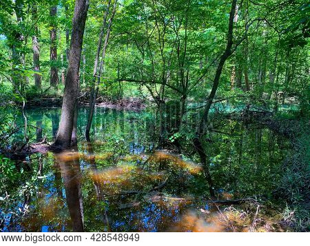 Deleon Springs State Park In Florida
