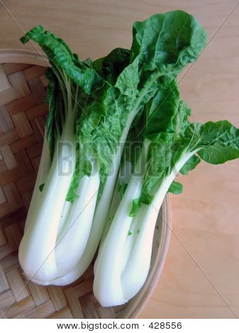 Pok Choi 1
