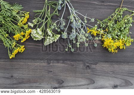 On A Dark Wooden Background Are Plants Used In Medicine - Tansy (latin Tanacétum), Yarrow (latin Ach