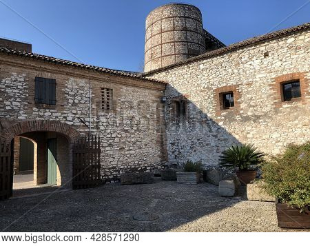 The Geopaleontological Museum Of Cava Bomba Near Padua