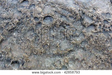 Háttérben a nedves kő