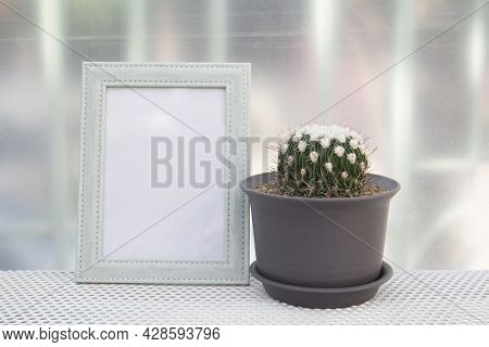 Echinofossulo Cactus Pot And Green Picture Frame