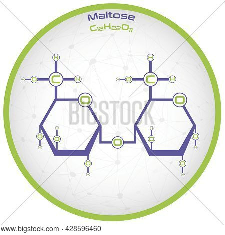 Large And Detailed Infographic Of The Molecule Of Maltose