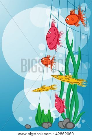 schwimmende marine Fische