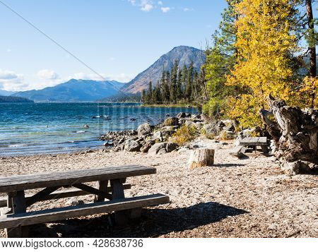 Fall Foliage On The Banks Of Lake Wenatchee - Washington State, Usa