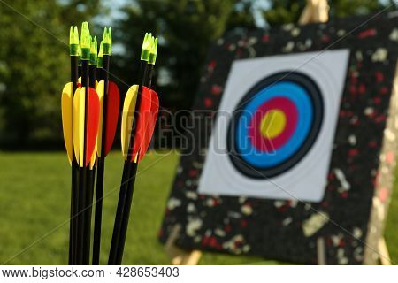Many Arrows Against Near Target In Park, Closeup. Space For Text