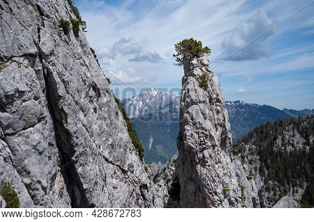 The Austrian Alps Near Admont On A Sunny Day In Summer, National Park Gesaeuse, Interesting Rock For