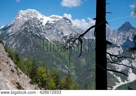 The Austrian Alps Near Admont On A Sunny Day In Summer, National Park Gesaeuse