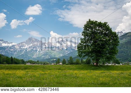The Austrian Alps Near Admont On A Sunny Day In Summer, National Park Gesaeuse, Green Meadows With Y