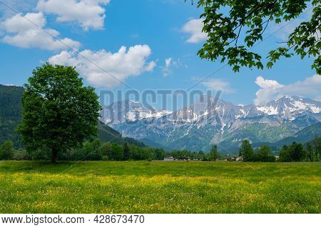 The Austrian Alps Near Admont On A Sunny Day In Summer, National Park Gesaeuse, Green Meadows With Y