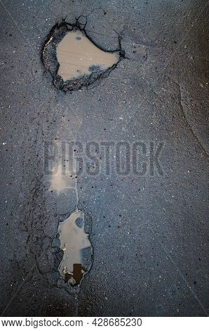 A Puddle And Wet Spots On The Gray Asphalt In The Form Of A Cartoon Fox. Illustration Of Visual Illu