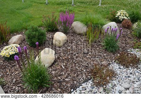 Ornamental Flower Bed With Perennial Pine Gray Granite Boulders, Mulched Bark And Pebbles In An Urba