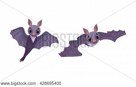 Funny Purple Bat With Cute Snout Flying Vector Set