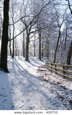 Woodland kävelymatkan