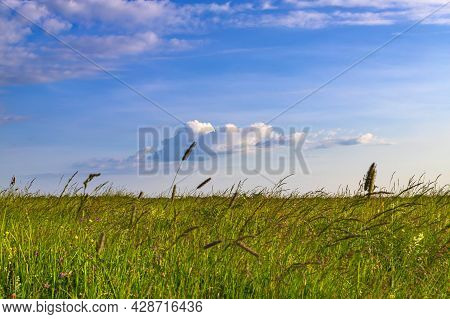 Light Blue Clouds On The Blue Sky And Green Gtass.