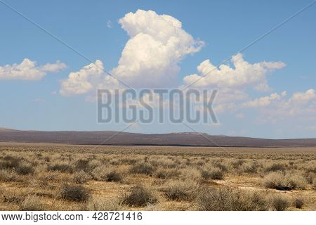 Vast Rural Field Covered With Sage Plants And The Creosote Bush Taken On A Windswept Plateau Taken A