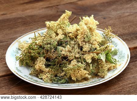 Dried Filipendula Ulmaria,  Commonly Known As Meadowsweet Or Mead Wort. It Is A Perennial Herbaceous