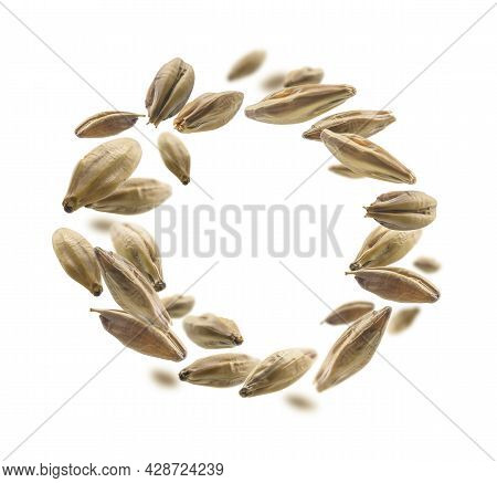 Barley Malt Grains Levitate On A White Background