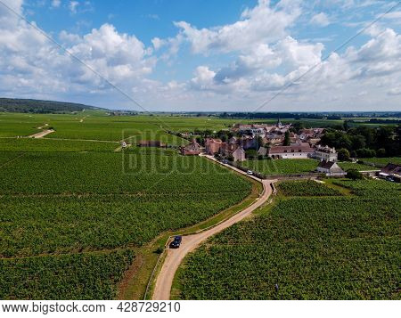 Aerian View On Green Grand Cru And Premier Cru Vineyards With Rows Of Pinot Noir Grapes Plants In Co
