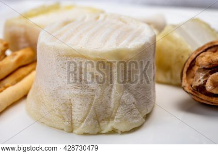 Cheese Collection, Soft Goat French Cheese With Mold Crottin De Chavignol Produced In Loire Valley