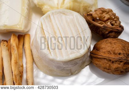 Cheese Collection, Soft Goat French Cheese With Mold Crottin De Chavignol Produced In Loire Valley