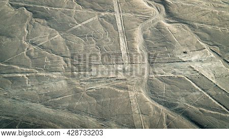 The Pelican Nazca Ancient Mysterious Geoglyph. Nazca Lines As Seen From The Aircraft. Nazca Lines Ar