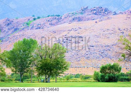 Deciduos Trees And A Manicured Lawn On An Oasis With Barren Badlands Beyond Taken At A Park In The R