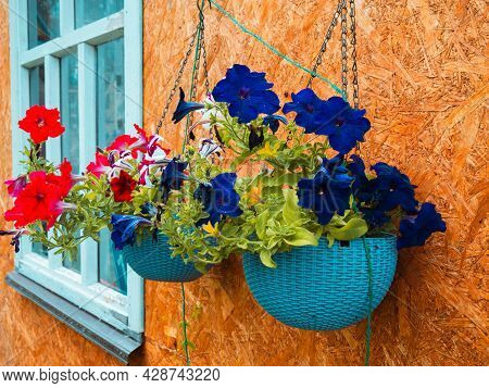 Beautiful Purple And Pink Potted Flowers Hanging Outside