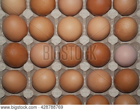 Raw Chicken Egg In Various Shades Of Brown And Beige On A Cardboard Backing.
