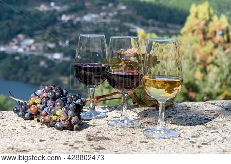 Outdoor Tasting Of Different Fortified Port Wines In Glasses In Sunny Autumn, Douro River Valley, Po