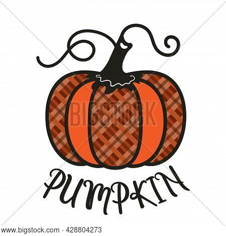 Clip-art Of A Decorative Pumpkin With A Checkered Pattern. Vector Illustration For Sublimation