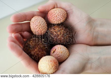 Female Hands Are Holding Exotic Ripe Rambutan And Leechy Or Lychee Fruits. Healthy Food, Fresh Organ