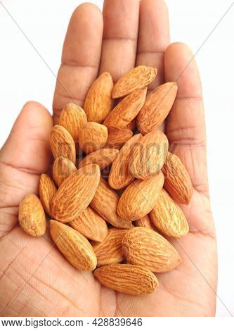 Some Almonds Or Dryfruits Are On The Palm.