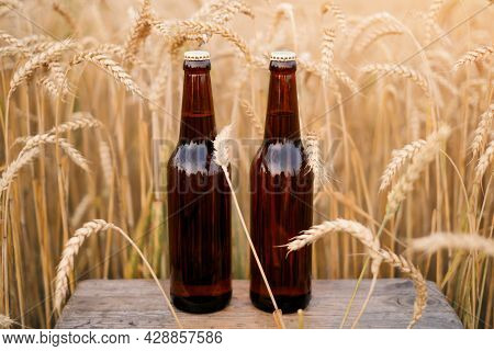 Two Bottles Of Dark Beer Are Standing In A Field Among The Grain Crops Of Barley And Rye. Refreshing