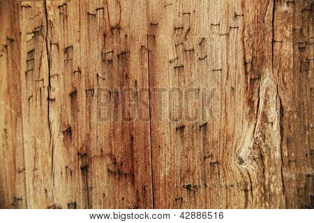 Hout Tekst4