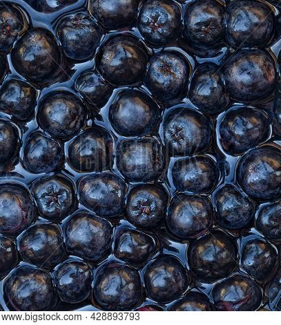 Ripe Aronia Melanocarpa Fruit Spherules Background