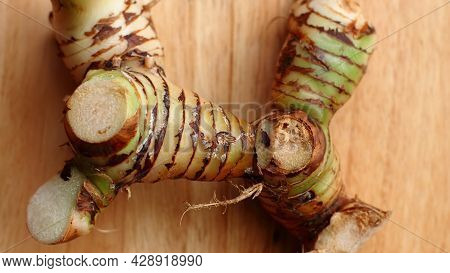 Alpinia Galanga. Galanga, Greater Galangal, False Galangalon Wooden Background