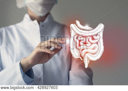 Female Doctor Touches Virtual Intestine In Hand. Blurred Photo, Handrawn Human Organ, Highlighted Re