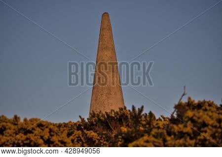 Beautiful Closeup Evening View Of Killiney Obelisk And Wild Yellow Gorse (ulex) Flowers Growing Ever