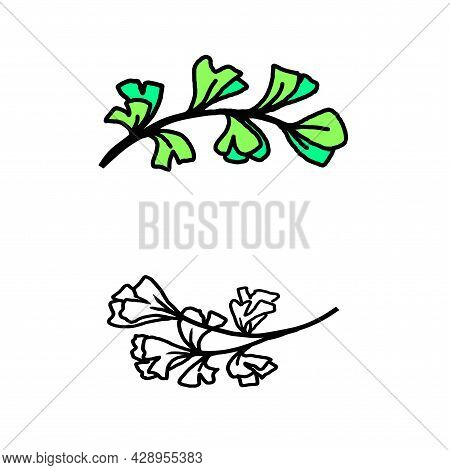 Hand Drawn Black Ink Floral Clip Atr