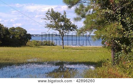 Assateague Island