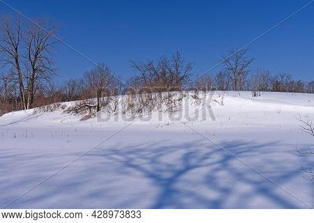 Tree Shadows On The Unblemished Snow In Crabtree Nature Center In Illinois